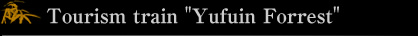 Yufuin Forrest